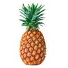 FRUTI MELANCIA PINGO DOCE KG