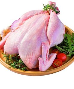 FRANGO RESFRIADO KG