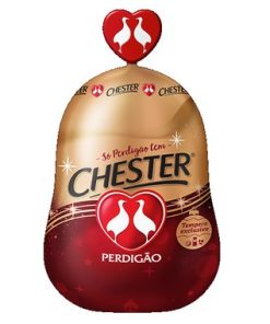 CHESTER PERDIGï¿½O CONG K