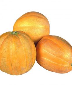 FRUTI MELAO GAUCHO KG