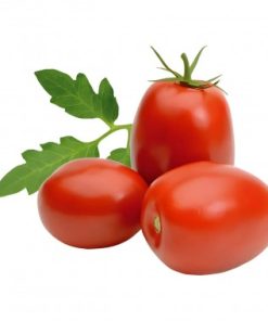 TOMATE ITALIANO KG