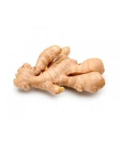 HORTI GENGIBRE EMB KG