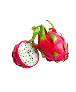 PITAYA KG