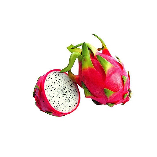 PITAYA KG