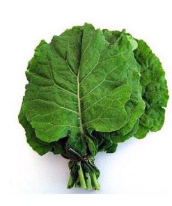 COUVE VERDE UN
