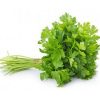 SALSA HIDROPONICA UN