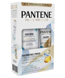 CONJ PANTENE SH COND EQUILIBRIO 450ML