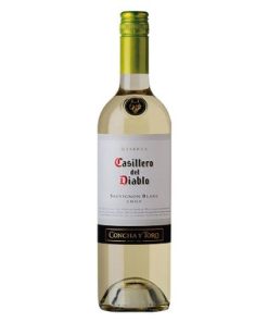 VINHO CASILLERO SAU BL750