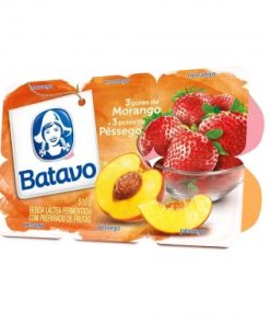 BEBIDA LACTEA BATAVO POLPA MORPES 510GR