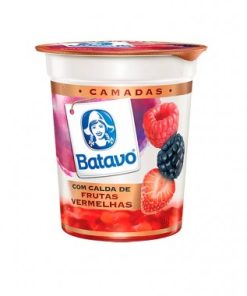 IOG BATAVO CAMADAS FRUTAS VERMELHAS 100G