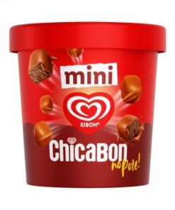 SORVETE KIBON POTE MINI CHICABON 228ML
