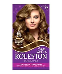 TINTA KOLESTON LOURO MD70