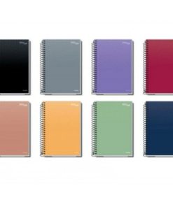 CADERNO CREDEAL CD ESSENCIALE 1M 80F
