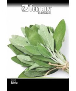 SEMENTE FELTRIN SALVIA P/TEMPERO