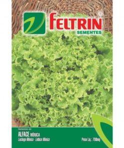 SEMENTE FELTRIN ALFACE MONICA SF 31