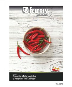 SEMENTE FELTRIN PIMENTA MALAGUETINHA