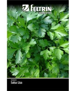SEMENTE FELTRIN SALSA LISA