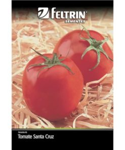 SEMENTE FELTRIN TOMATE SANTA CRUZ