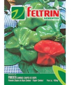 SEMENTE FELTRIN PIMENTA CHAPEU DE BISPO