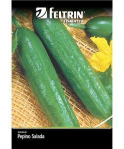 SEMENTE FELTRIN PEPINO AODAI