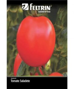 SEMENTE FELTRIN TOMATE BARTO