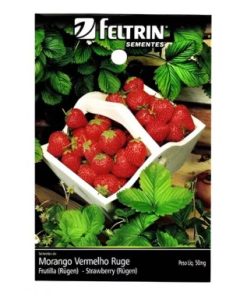 SEMENTE FELTRIN MORANGO VERMELHO RUGE