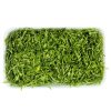 HORTI COUVE VERDE FATIADA 200G