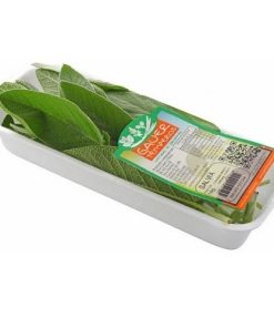 SALVIA CNL UN