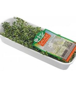 OREGANO GAUER 16g